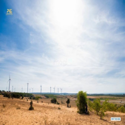 Cần bán đất Tuy Phong BT 6900m2 ngay QL1A view biển giá chỉ 390k/m2