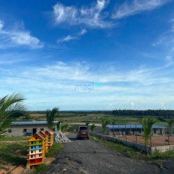 Bán nhanh lô đất view biển hơn 4 sào Tuy Phong, ngay QL1A làm farmstay
