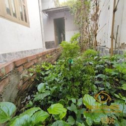 Cho thuê MBKD 400m2 đường Hoàng Bá Bích,P.Long Bình giá15tr/tháng