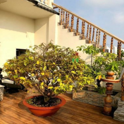 Khách sạn 1 trệt 3 lầu 168m2 có doanh thu ổn định kdc Bửu Long giá 13T