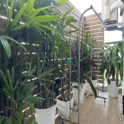 Building CHDV Cầu Giấy 9T x 150m2 19 căn studio cao cấp giá 30 tỷ