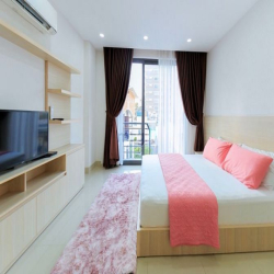 Cho thuê căn hộ dạng 1 phòng ngủ - rộng 45m2 - gần Bùi Viện, Quận 1