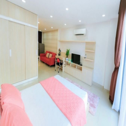 Cho thuê căn hộ dạng 1 phòng ngủ - rộng 45m2 - gần Bùi Viện, Quận 1