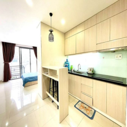 Cho thuê căn hộ dạng 1 phòng ngủ - rộng 45m2 - gần Bùi Viện, Quận 1