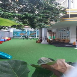 Nhất Chi Mai 562m2 24.5x23 3 tầng Phường 13 Tân Bình giá 106 tỷ