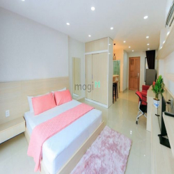Cho thuê căn hộ dạng 1 phòng ngủ - rộng 45m2 - gần Bùi Viện, Quận 1