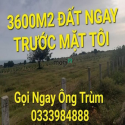 3600m2 có 9 tỷ x Ngyễn Thị Rành Trung Lập Hạ Củ Chi TPHCM