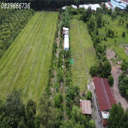 10m mặt tiền full thổ kế KCN Phước Đông chỉ 1 tỷ