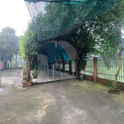 Mặt bằng thạnh xuân 25 10x40m kinh doanh buôn bán  đủ thứ.  Giá  15tr