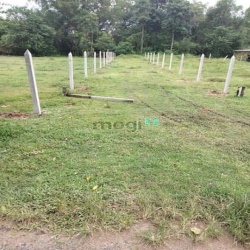 Bán nhanh lô đất Giá 285tr bớt lộc  5×33 thực tế 36 thổ cư 50 H.T.Bàng