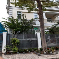 Cho thuê biệt thự Hưng Thái, DT 7x18m, giá tốt nhất chỉ từ 24 triệu/th