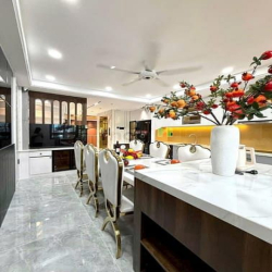 Bán Siêu Phẩm Nhà Phố Đường Phạm Văn Chiêu, Quận Gò Vấp, Hồ Chí Minh