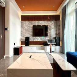 Bán Siêu Phẩm Nhà Phố Đường Phạm Văn Chiêu, Quận Gò Vấp, Hồ Chí Minh