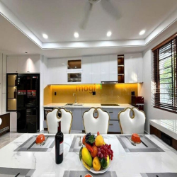 Bán Siêu Phẩm Nhà Phố Đường Phạm Văn Chiêu, Quận Gò Vấp, Hồ Chí Minh