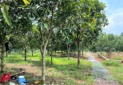 Cần bán lô đất full thổ cư, đường bê tông, dân đông, view hồ Trị An.