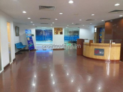 Bán tòa nhà văn phòng Quận 3, Phạm Ngọc Thạnh, DT 434m2 đất