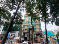 Bán tòa nhà văn phòng Quận 3, Phạm Ngọc Thạnh, DT 434m2 đất