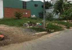 Cho thuê  Đất Lương Định Của Bình An