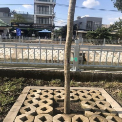 Cho thuê đất sổ đỏ DT: 28×56m ( 1570)m) đường Thạnh Xuân 25. Quận 12