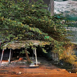 BDS HUNGVILAND [NC] Cho Thuê Đất Trống P. An Phú Q2 10tr 22/02/2023