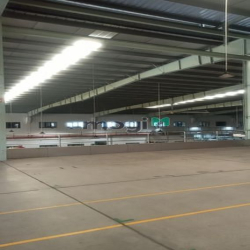 Cho thuê kho chứa hàng 1000m2 tại đường Bà Điểm, Ấp Đông Lân, Hóc Môn.