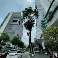 Gia đình đang cần tiền cần bán gấp nhà MT Phạm Ngọc Thạch 12x25m