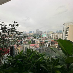 Bán nhà đất Phân Lô mặt đường Nguyễn Quốc Trị , giá:65 tỷ