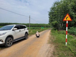 SỞ HỮU NGAY SIÊU PHẨM Cẩm Giang Gò Dầu Tây Ninh 165m²