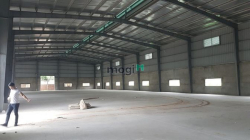 Bán 380m2 đất An Phú Đông Q12 + Thu nhập 200tr