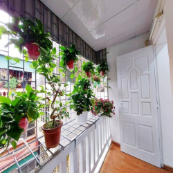 Cần Bán Nhanh Căn Tập Thể Thanh Nhàn 50M Siêu Đẹp chào 1,55