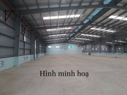 NCC - Cho thuê kho mới xây MT đường 15m Bùi Tá Hán, Nam Việt Á