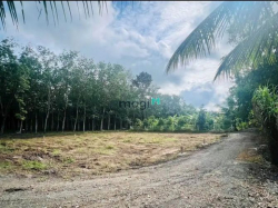 VỊ TRÍ VÀNG ĐẤT Lộc Trát, Trảng Bàng,468tr,140m2