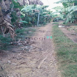 Bán 1008m xã Cây Gáo, huyện Trảng Bom, Đồng Nai