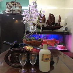 Bán Nhà Liền Kề KĐT Văn Phú Hà Đông. DT 81M2. 5 Tầng. Vỉa Hè Rộng 10m