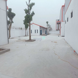 Mời Thuê Kho Xưởng Mới Tại Yên Mỹ 12000m2 Giá Siêu Rẻ