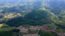 Bán 22 ha đất RSX Ninh Tân - Ninh Hòa