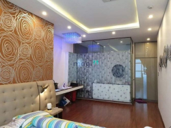 Bán căn hộ PENTHOUSE HOÀNG ANH THANH BÌNH, TÂN HƯNG QUẬN 7 - 255m2