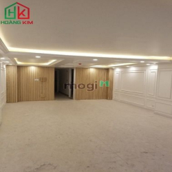 Cho thuê Biệt thự đường Nguyễn Văn Trỗi, p.1, Tân Bình. 15x25m.