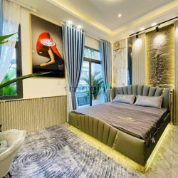 Kẹt vốn kinh doanh cần bán gấp nhà, N. Tri Phương, 60m2, 2tỷ550, SHR