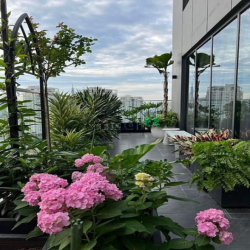 CH 3PN View Sông ngay trung tâm Q2_ TT 30% Nhận nhà One Verandah