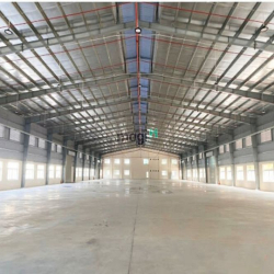 Kho Xưởng Cho Thuê Sơn Trà: Diện Tích 400m2 và 800m2, Đường  Container