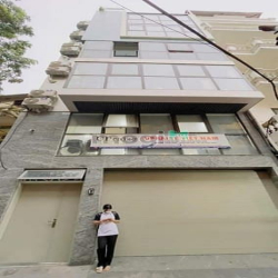 Cực đẹp! Phân lô phố Hào Nam, ô tô tránh, văn phòng, DT 1,5 tỷ/năm86m2