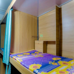 KÍ Túc Xá Ốp Gỗ Rất Đẹp ngay Sư Vạn Hạnh