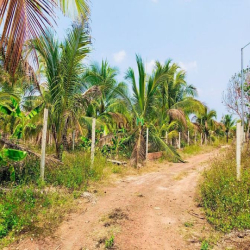 293m2 đất vườn sổ riêng, cạnh bên có ao cá, đất bám 2 mặt đường