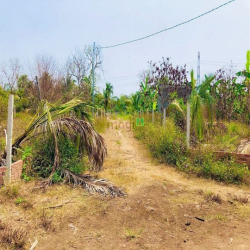 293m2 đất vườn sổ riêng, cạnh bên có ao cá, đất bám 2 mặt đường