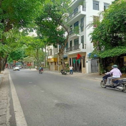 Bán Biệt thự, lô góc phố YecXanh, Hai Bà Trưng 155m, 22,5 tỷ