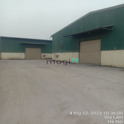 Chính chủ cho thuê kho Kiêu kỵ, Gia Lâm 50k/m2