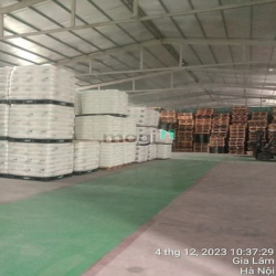 Chính chủ cho thuê kho Kiêu kỵ, Gia Lâm 50k/m2