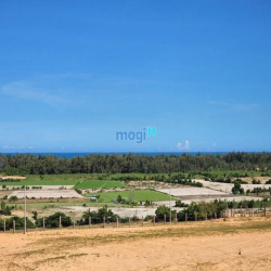 Cần bán gấp 4 sào đất view biển 100% tại Tuy Phong, ngay Bãi đá 7 màu