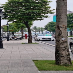 Cần bán gấp con Sao Biển gần biển hồ DT 137m2, xây dựng 98m2-MT 5,5M2.